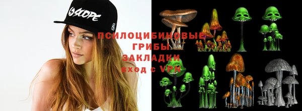 альфа пвп Алзамай